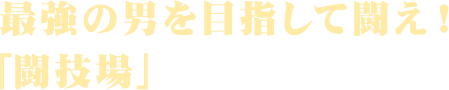 最強の男を目指して闘え！「闘技場」