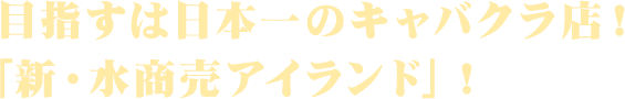目指すは日本一のキャバクラ店！
「新・水商売アイランド」！