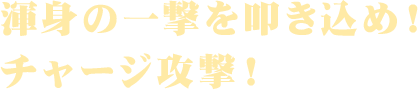 渾身の一撃を叩き込め!チャージ攻撃!