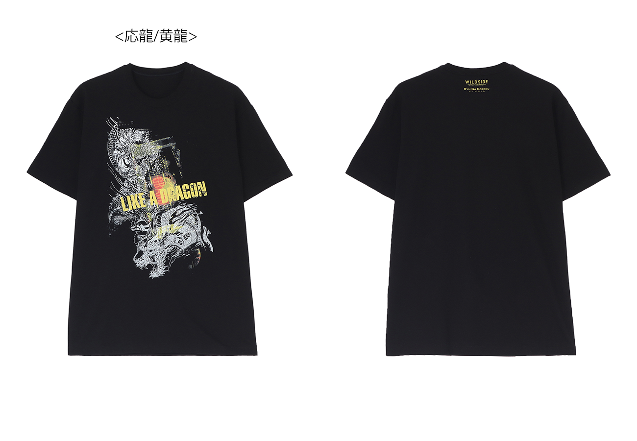 SL-T63-003-2-03_o.png