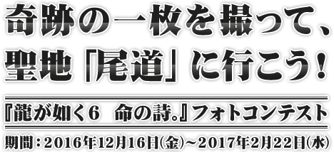 龍が如く6 命の詩。』フォトコンテスト | セガ公式サイト